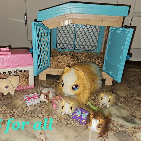 Colorful Small Pet Habitat with Accessories - Picture 1 of 5